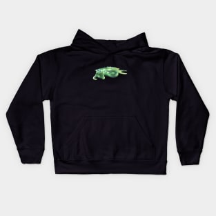 Sleeping Dragon Kids Hoodie